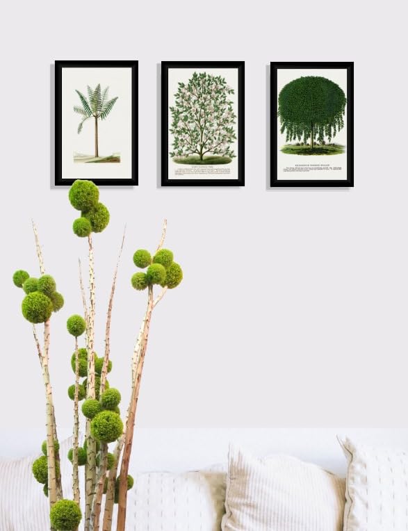 Framed Painting/Posters for Room/Wall Decoration, Set of 3 Black Frame | Modern Art Decoration | Home Decor Frames